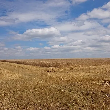 Couette-café Aux Anges