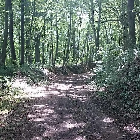 Panzió Aux Anges 3*