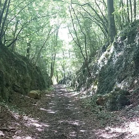 Panzió Aux Anges Profondeville