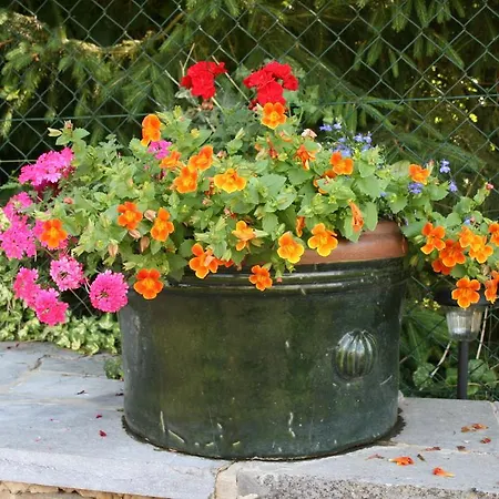 Aux Anges Nocleg ze śniadaniem Profondeville