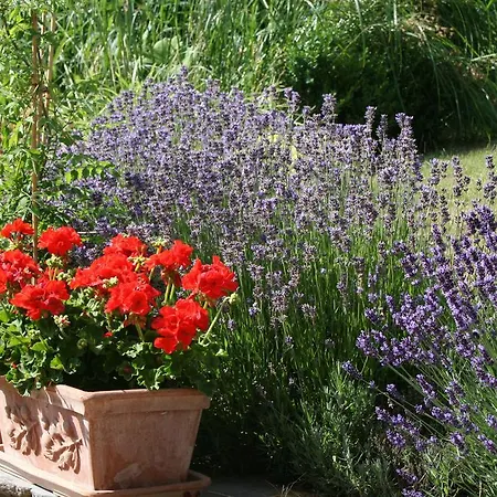 Aux Anges Nocleg ze śniadaniem