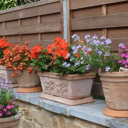 Aux Anges Nocleg ze śniadaniem 3*