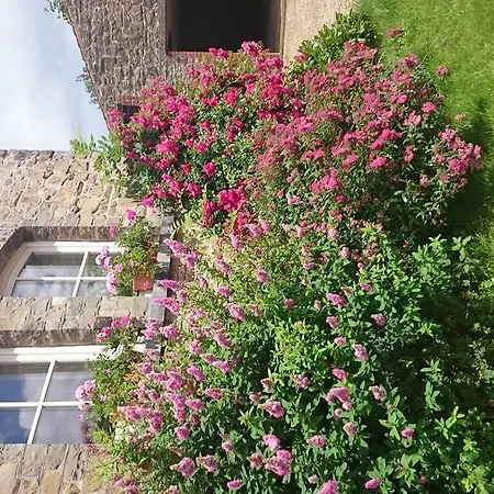 Aux Anges Couette-café 3*