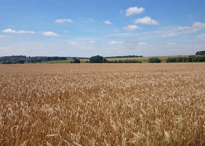 Alojamento de Acomodação e Pequeno-almoço Aux Anges