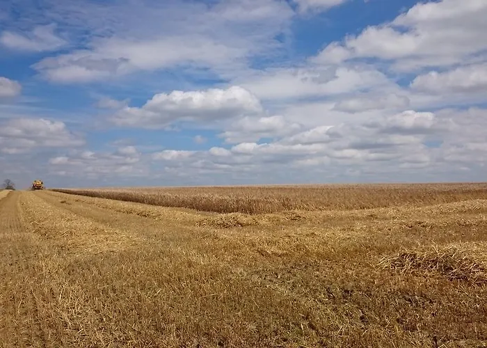 Alojamento de Acomodação e Pequeno-almoço Aux Anges