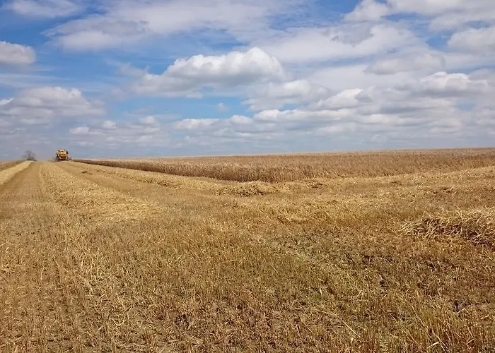 Alojamento de Acomodação e Pequeno-almoço Aux Anges Profondeville