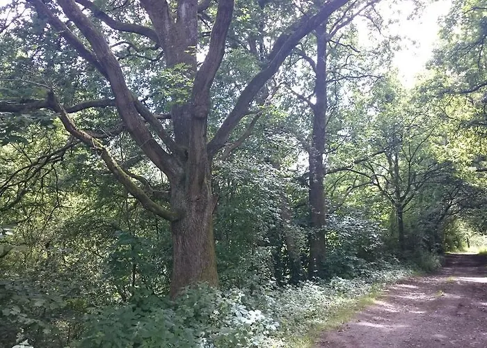 Alojamento de Acomodação e Pequeno-almoço Aux Anges Profondeville