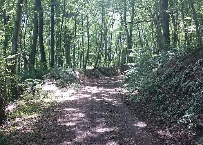 Alojamento de Acomodação e Pequeno-almoço Aux Anges 3*