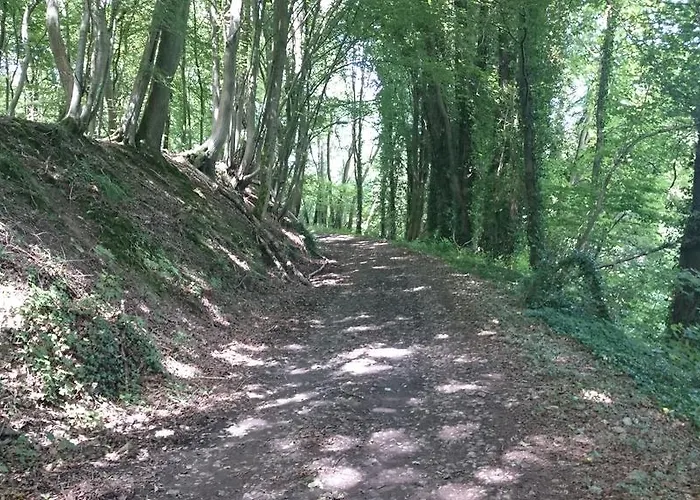Alojamento de Acomodação e Pequeno-almoço Aux Anges