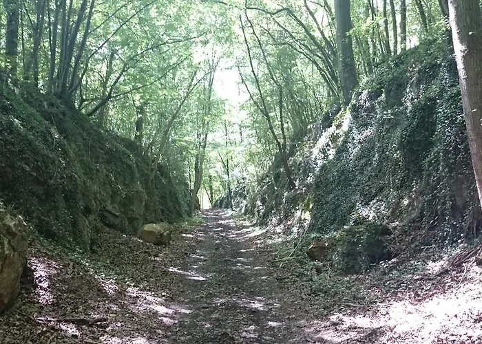 Alojamento de Acomodação e Pequeno-almoço Aux Anges Profondeville