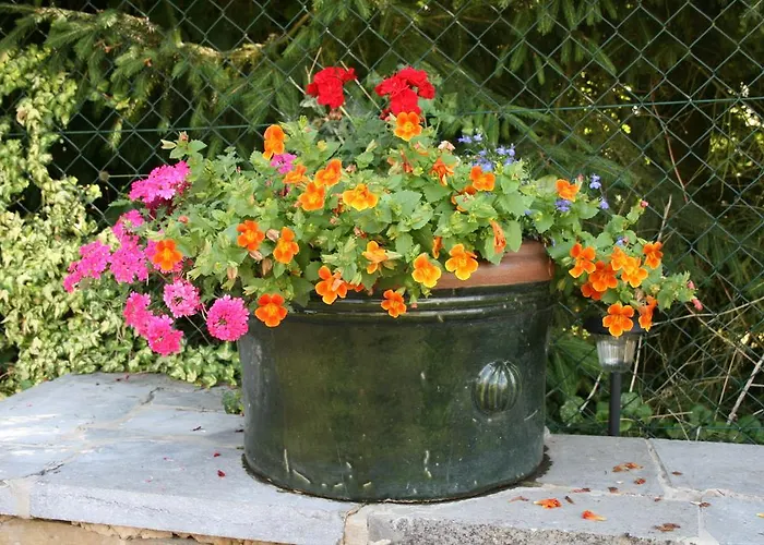 Aux Anges Alojamento de Acomodação e Pequeno-almoço Profondeville