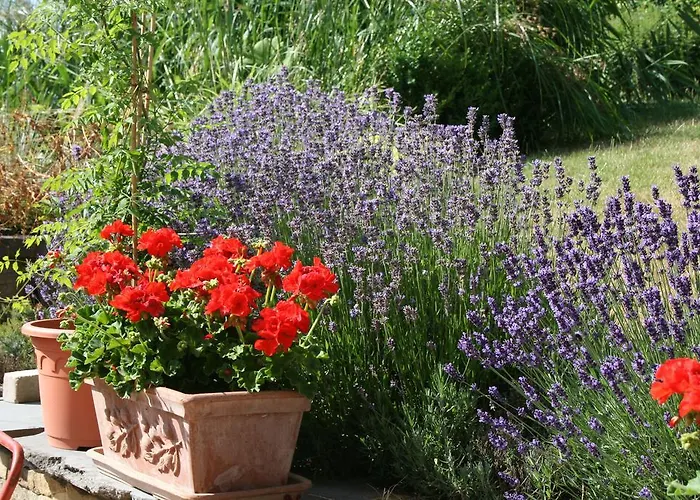 Aux Anges Alojamento de Acomodação e Pequeno-almoço
